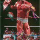 Illustration for article titled The Ultimate Warrior Likes All But One Of Heath Ledgers Movies